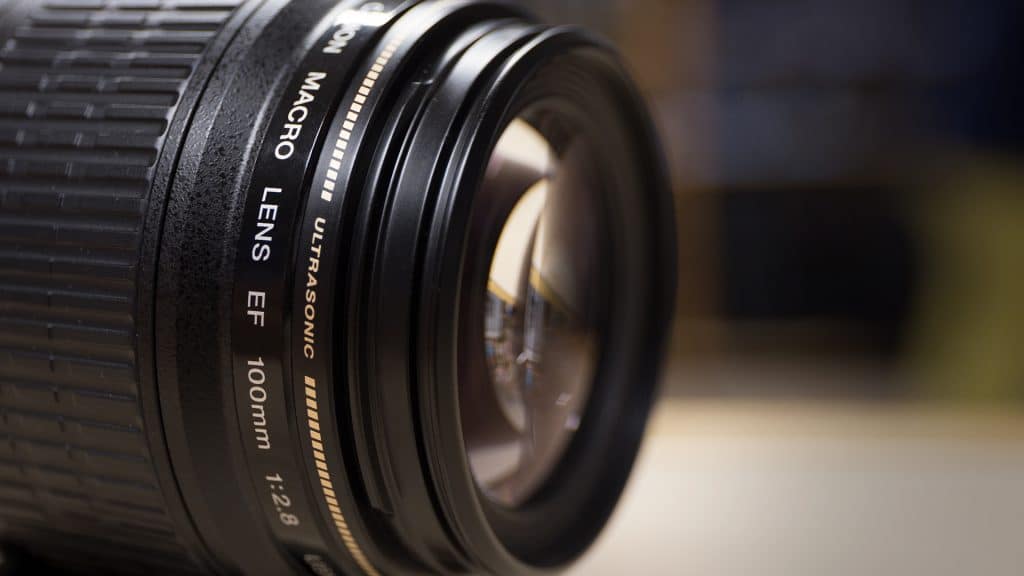 Canon 100mm f/2.8 Macro USM - Superiore o Inferiore del Fratello L?