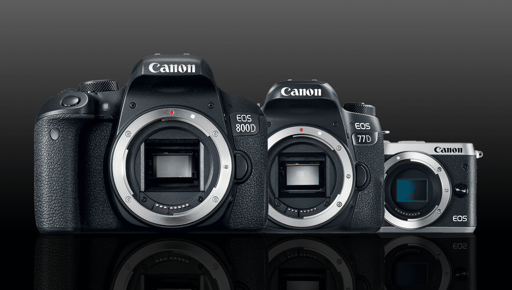 Canon Annuncia le Reflex Eos 800D e 77D e la Mirrorless M6