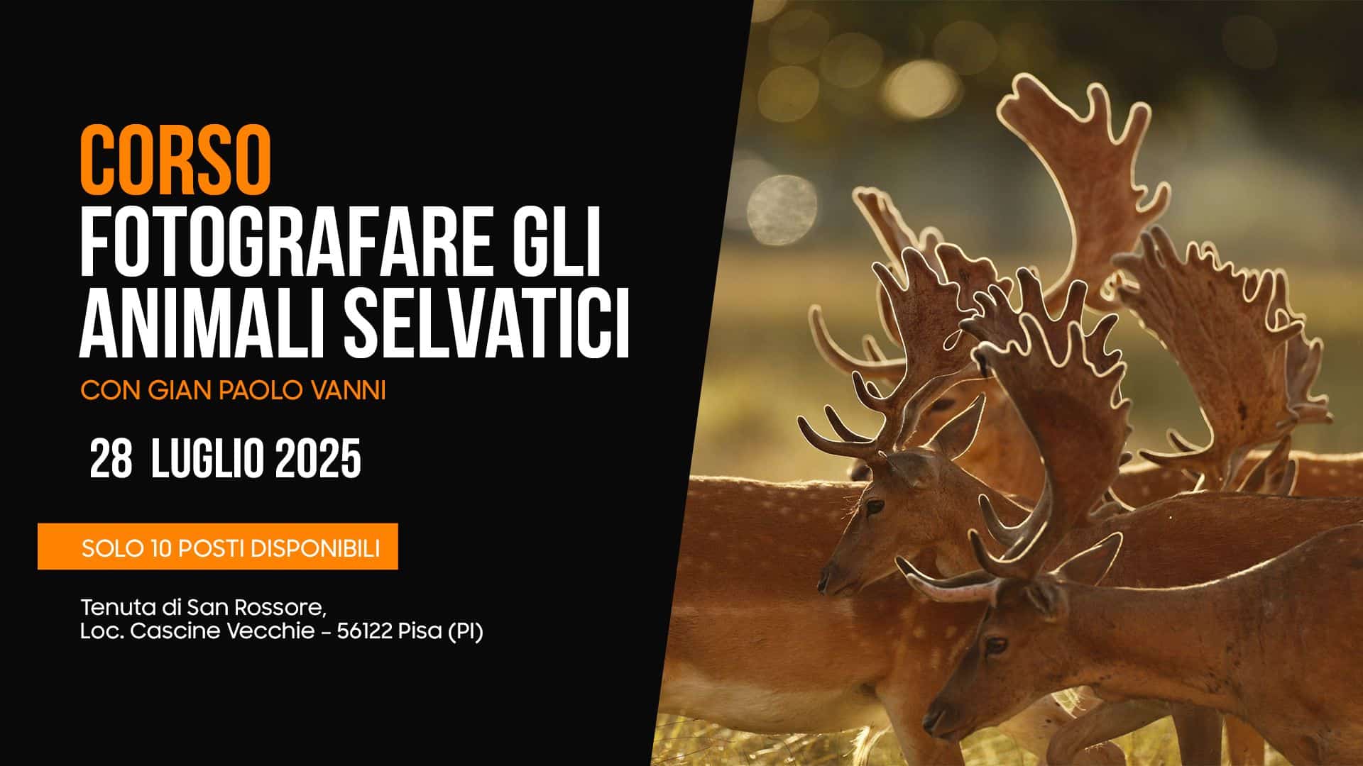 Corso di Fotografia Naturalistica da Ollo Store Con Gian Paolo Vanni