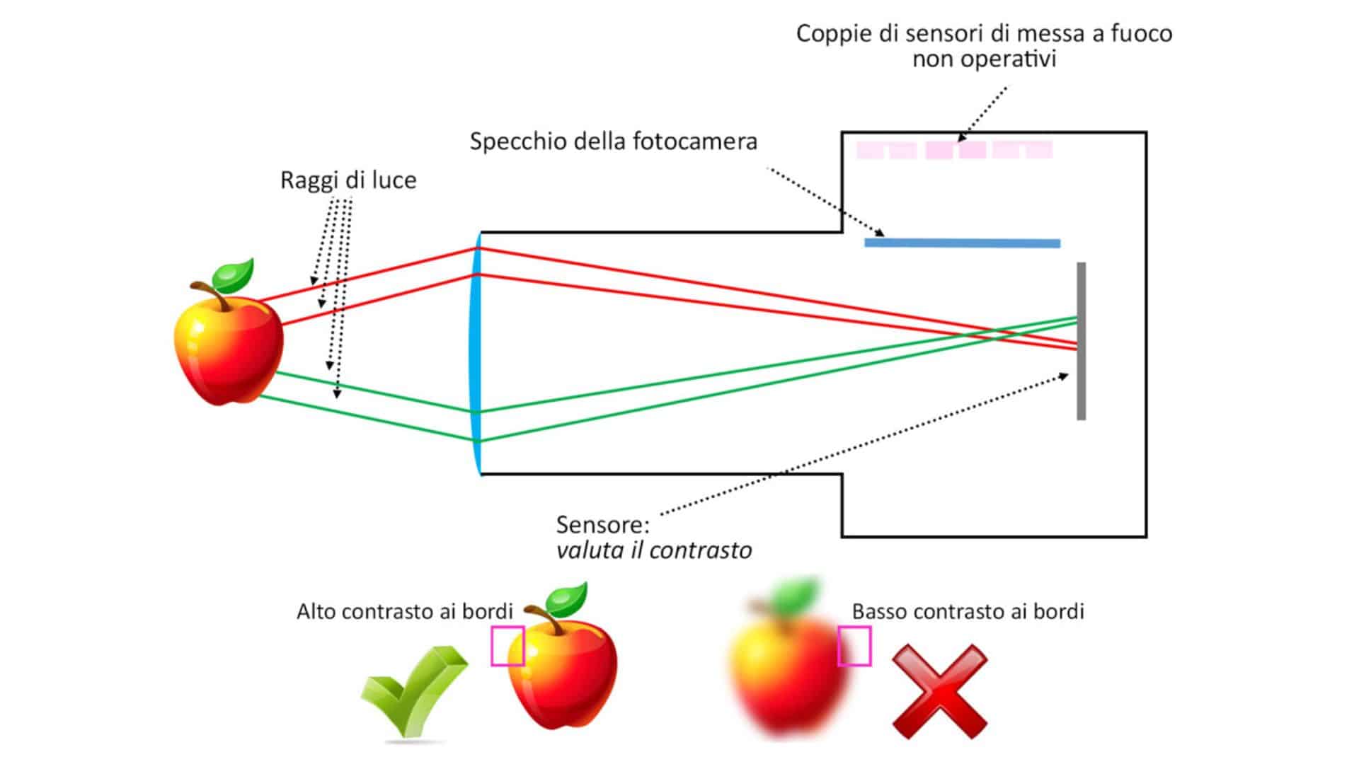 Come funziona la messa a fuoco