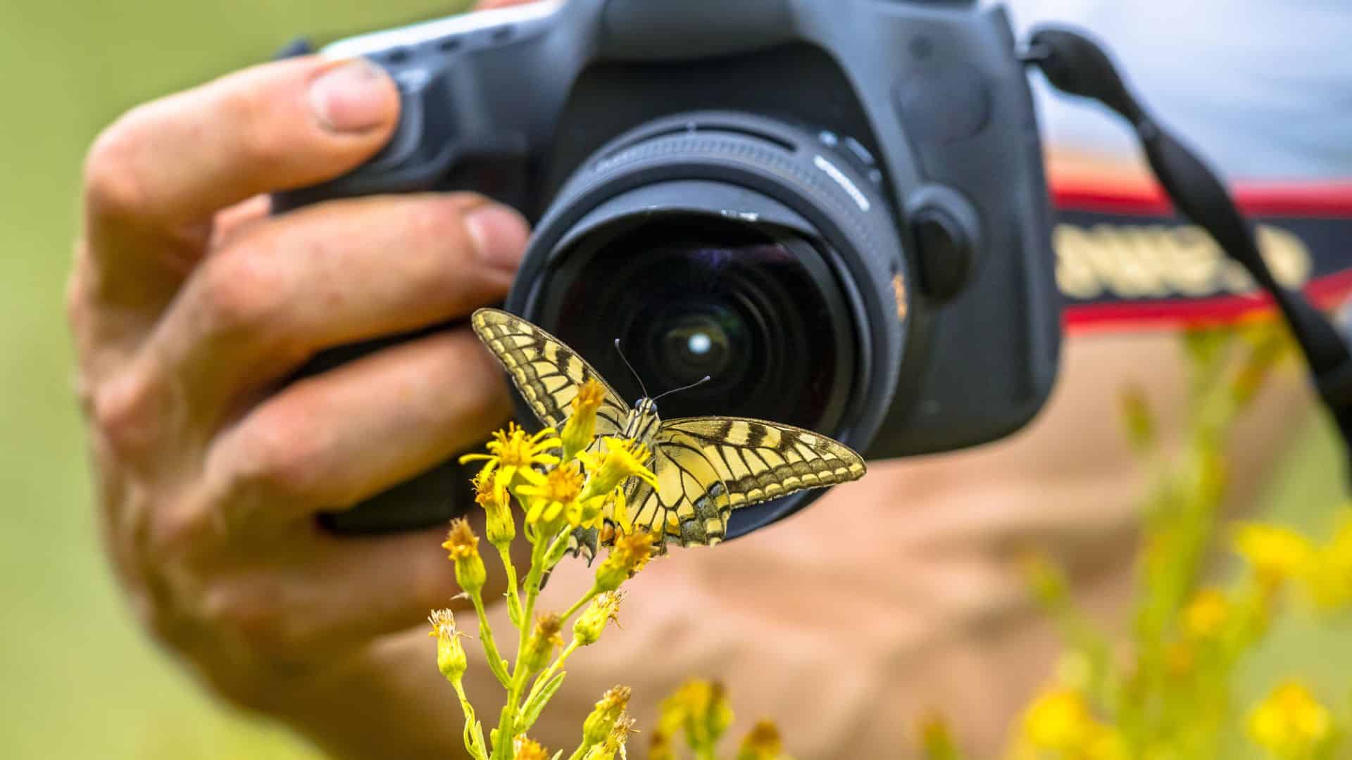 Messa a fuoco come iniziare