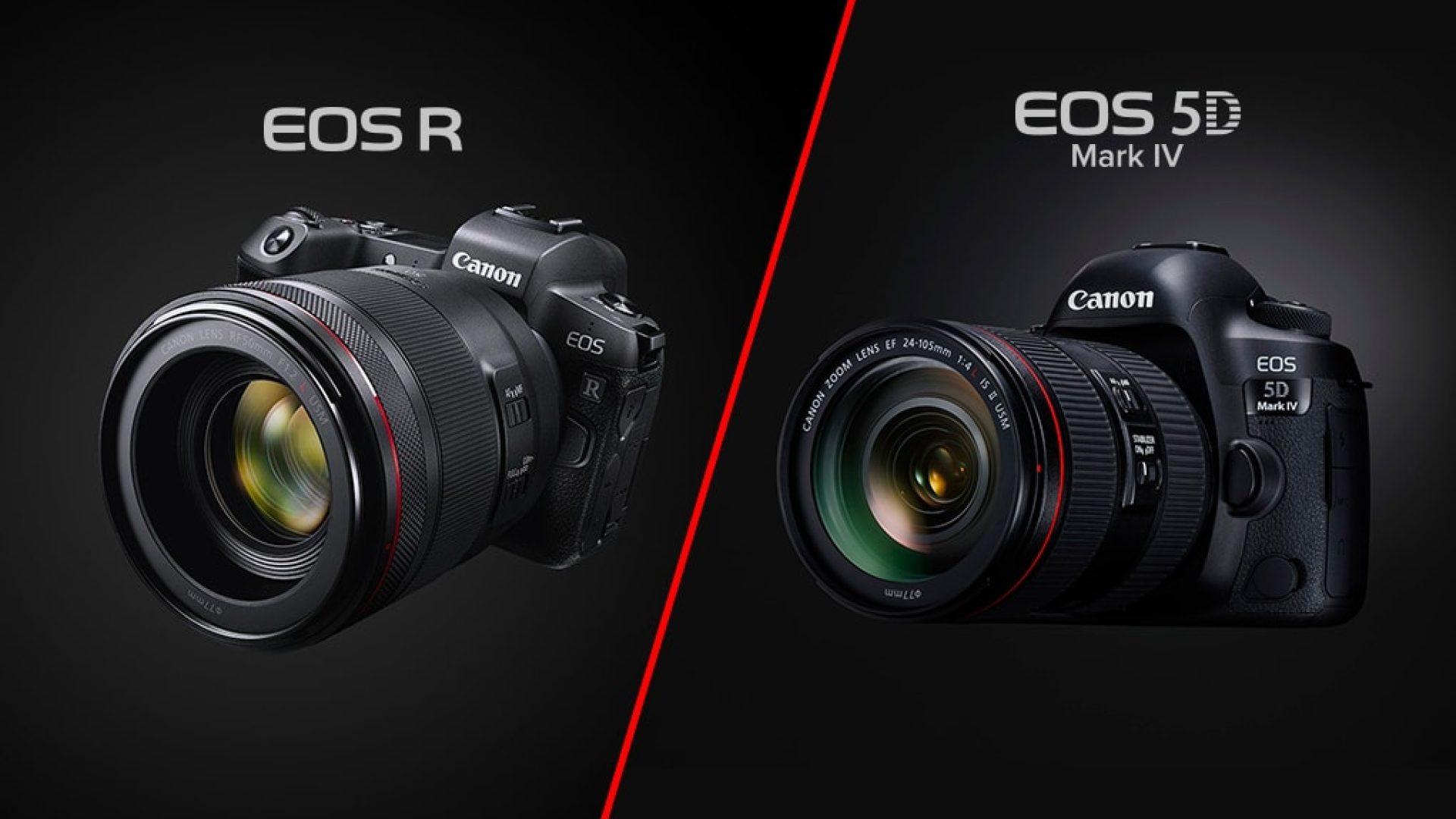 Canon EOS R vs 5D Mark IV, ecco tutte le principali differenze