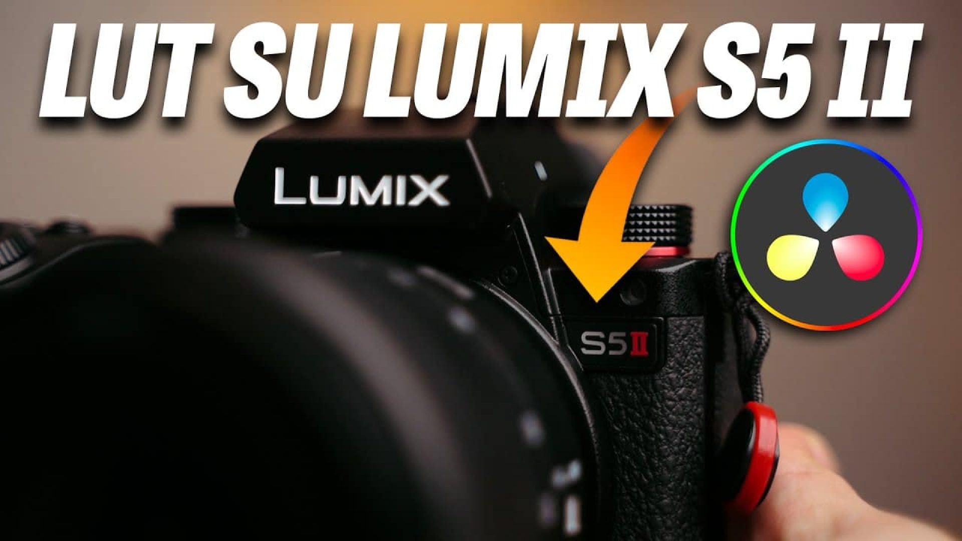 Come-mettere-LUT-in-camera-sulla-Lumix-S5-Mark-II