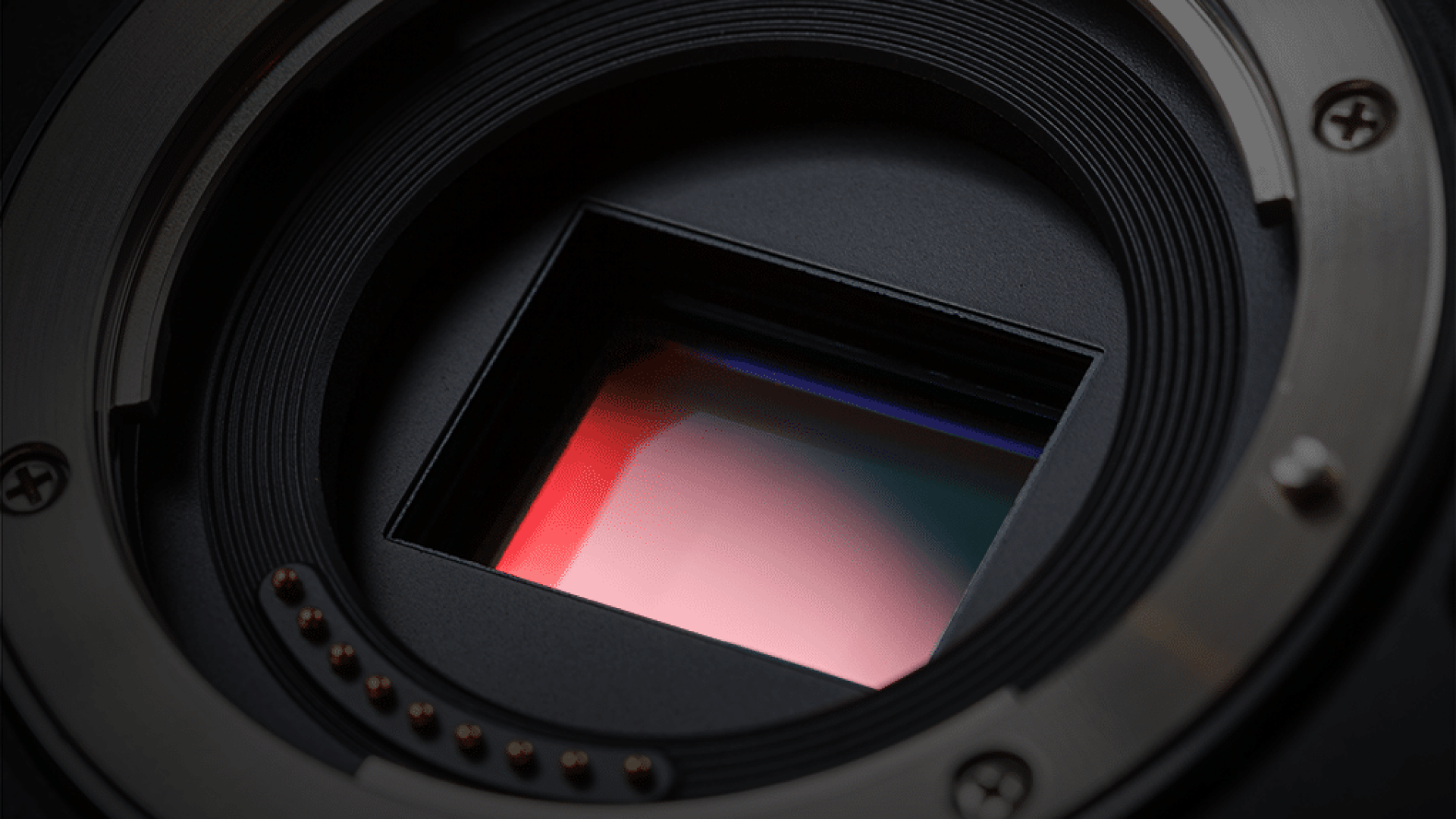 ISO e Stabilizzatore sul sensore le due facce del micro quattro terzi