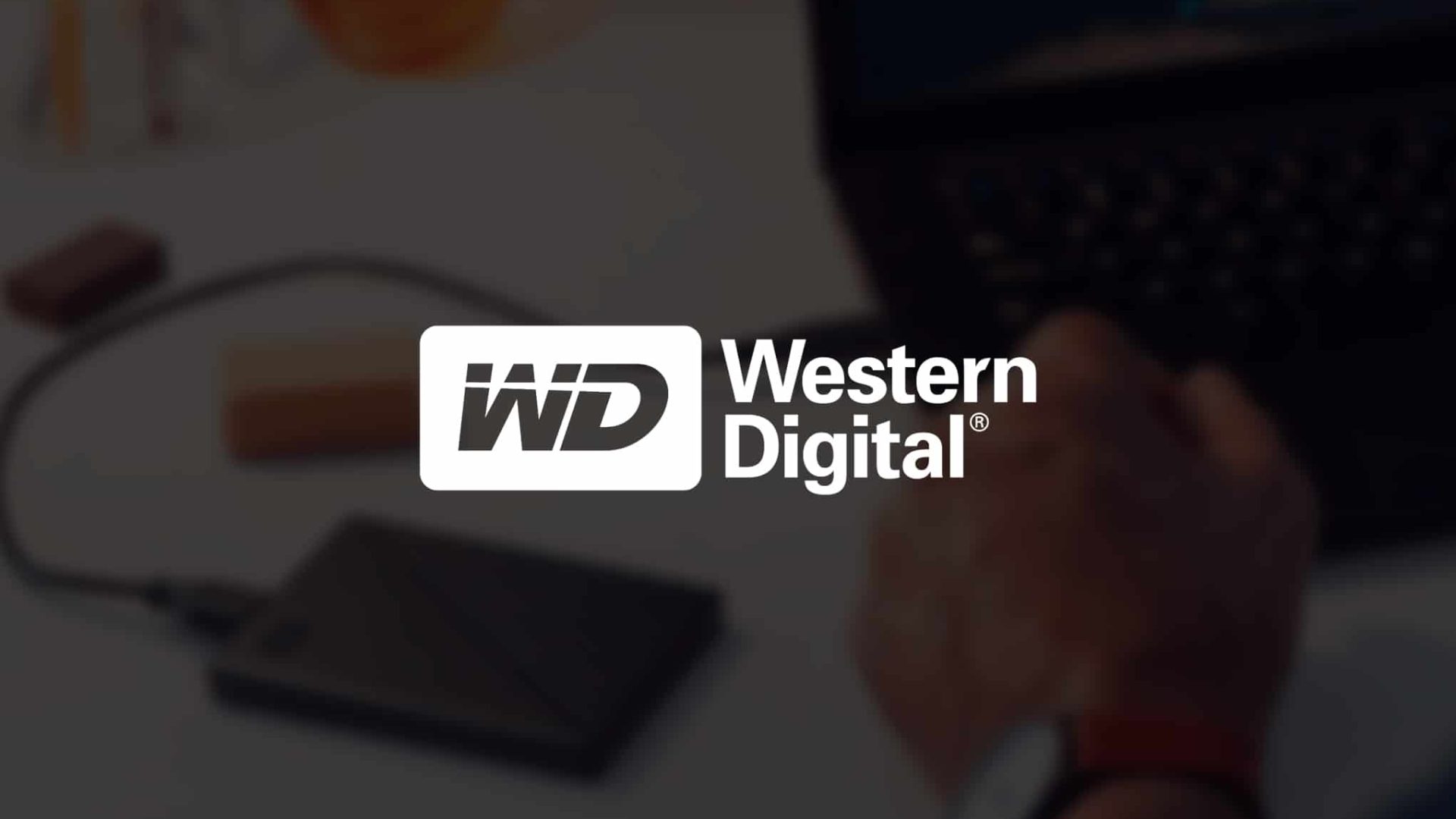 western master t5 disco rigido